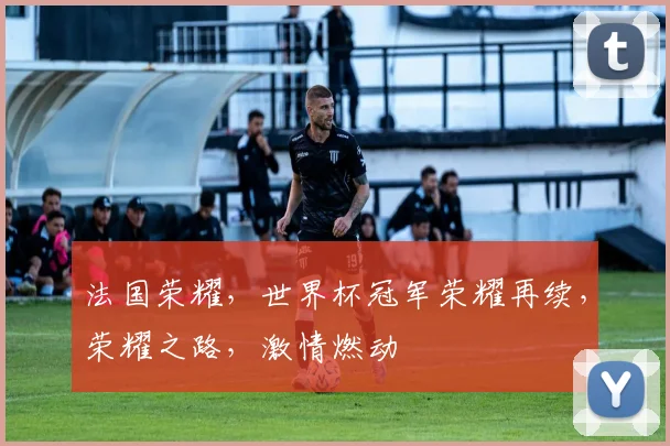 法国荣耀，世界杯冠军荣耀再续，荣耀之路，激情燃动